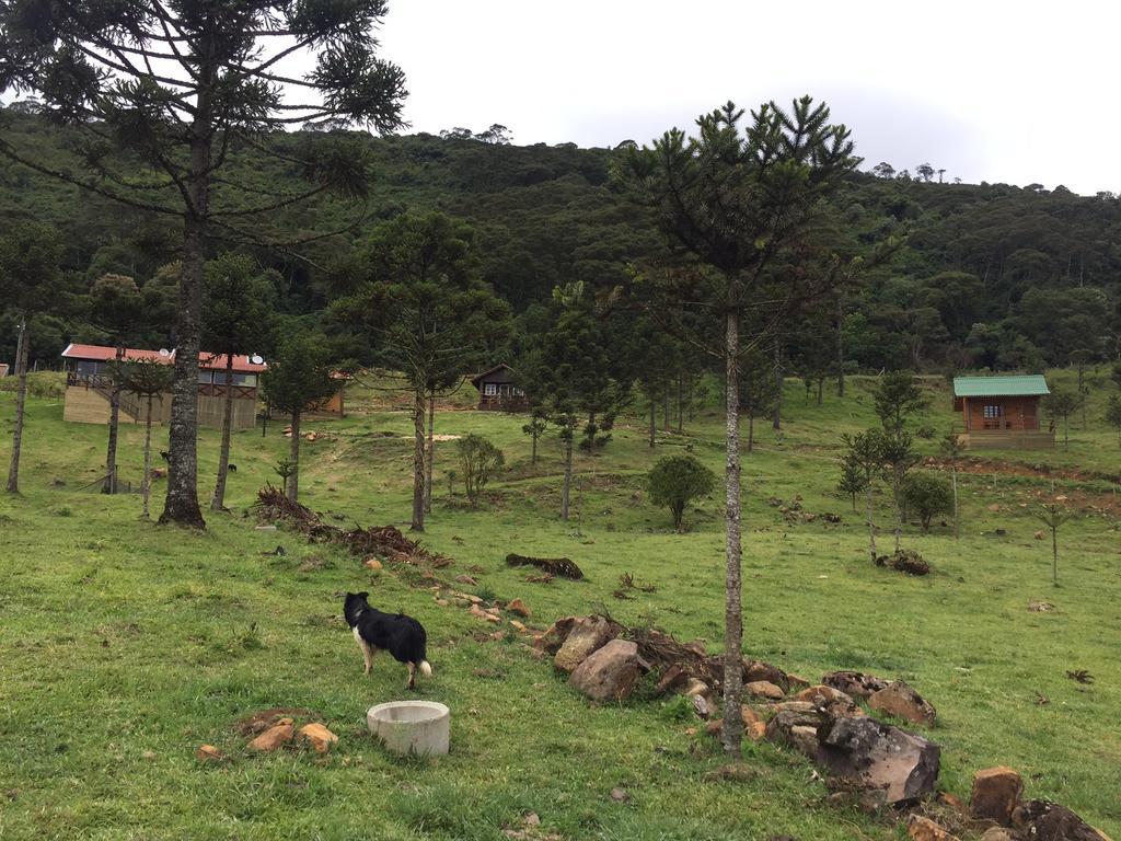 Fazenda Morro Das Torres Urupema Bagian luar foto