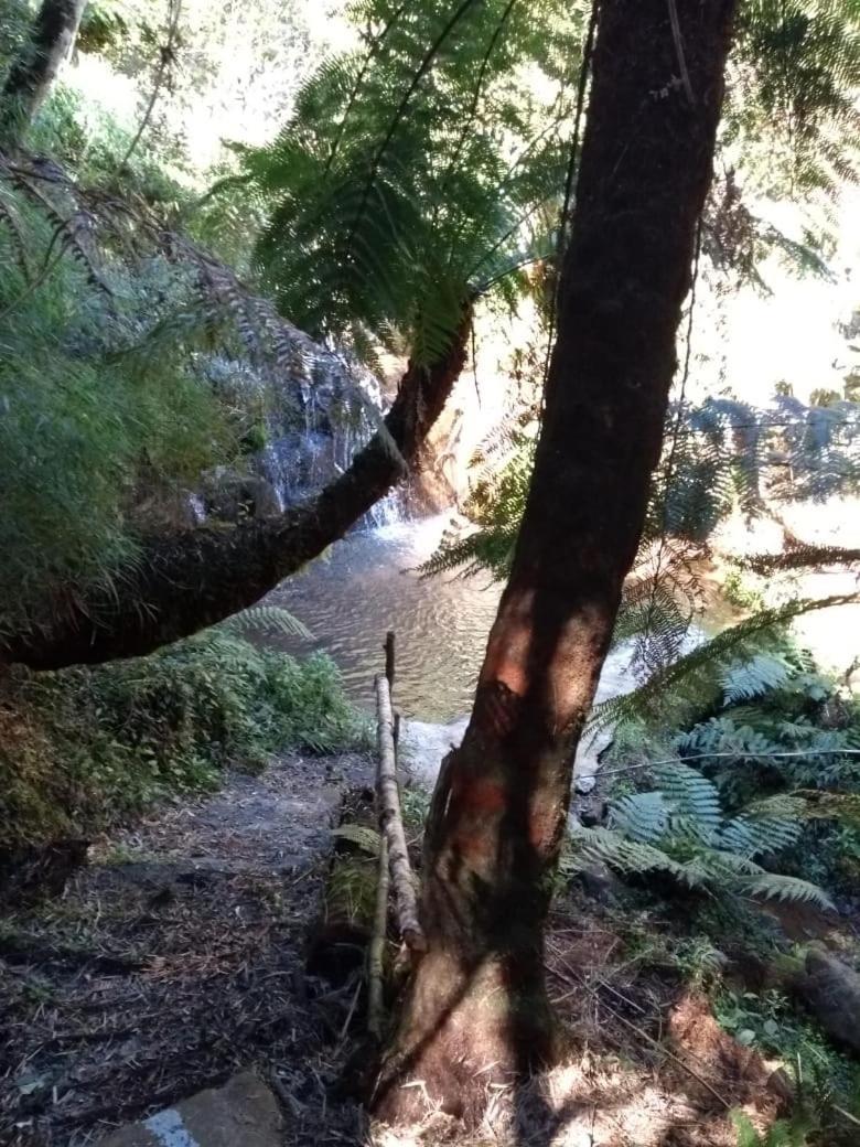 Fazenda Morro Das Torres Urupema Bagian luar foto
