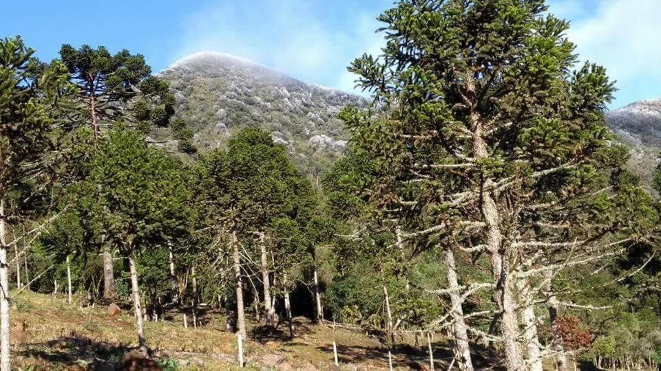 Fazenda Morro Das Torres Urupema Bagian luar foto